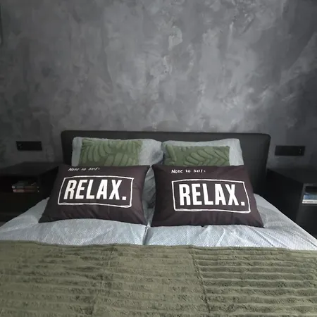Loft Z Parkingiem W Garazu Апартаменти *