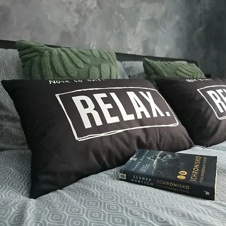 Loft Zdrój Z Parkingiem W Garażu Apartament