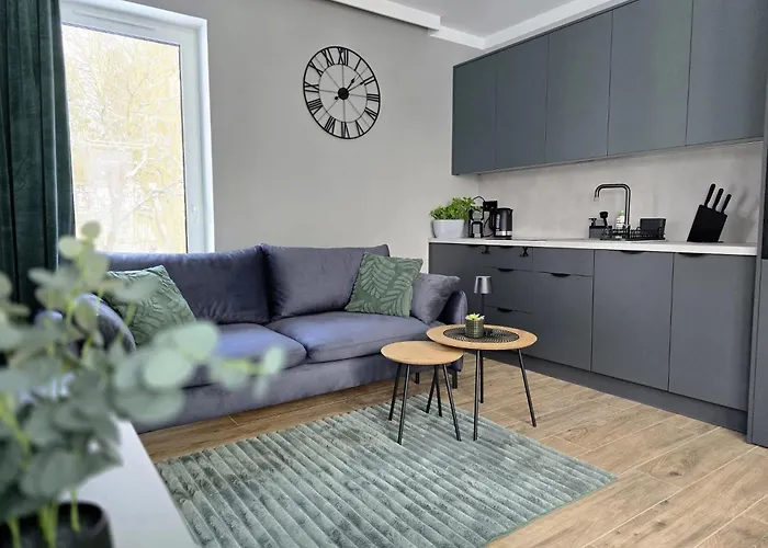 Apartament Loft Zdrój Z Parkingiem W Garażu *